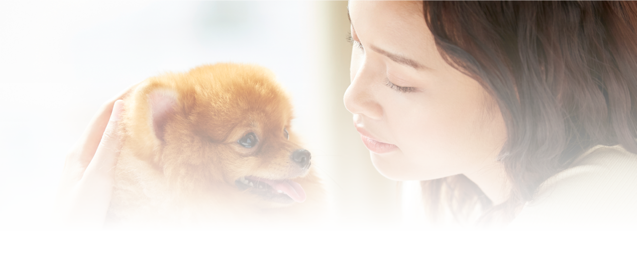 ASCREAは人にもペットにも優しい、環境に無害な除菌水です